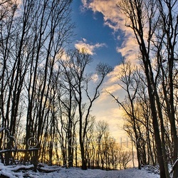 landscapes and fauna 